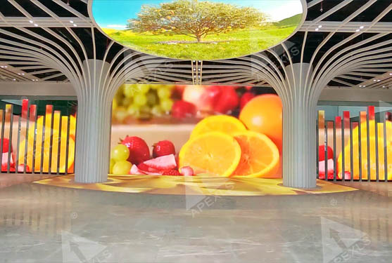 Guangxi Pingxiang Fruit Museum LED Creative Display